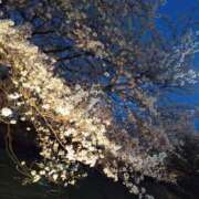 ヒメ日記 2025/10/23 23:04 投稿 ユリア マダム可憐