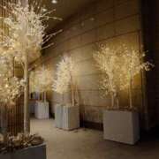 ヒメ日記 2024/12/19 21:11 投稿 かれん 完熟ばなな川崎