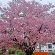 ヒメ日記 2026/03/02 18:21 投稿 かれん 完熟ばなな川崎