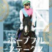 ヒメ日記 2023/12/28 11:46 投稿 こはな 丸妻 新横浜店