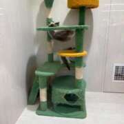 ヒメ日記 2025/04/25 16:40 投稿 こはな 丸妻 新横浜店