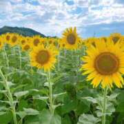 ヒメ日記 2025/07/08 18:18 投稿 椎名 ゆあ Men's relaxation VEGA