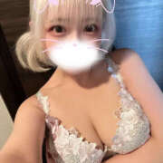 ヒメ日記 2024/12/23 12:41 投稿 うさぎ 横浜ハッピーマットパラダイス