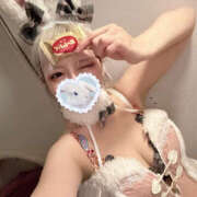 ヒメ日記 2024/12/27 12:46 投稿 うさぎ 横浜ハッピーマットパラダイス