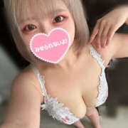 ヒメ日記 2025/01/12 12:40 投稿 うさぎ 横浜ハッピーマットパラダイス