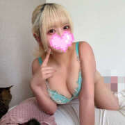 ヒメ日記 2025/01/24 16:40 投稿 うさぎ 横浜ハッピーマットパラダイス