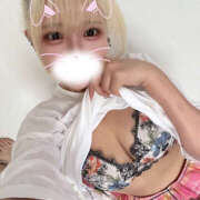 ヒメ日記 2025/04/03 16:43 投稿 うさぎ 横浜ハッピーマットパラダイス