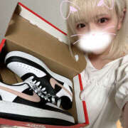 ヒメ日記 2025/04/23 14:33 投稿 うさぎ 横浜ハッピーマットパラダイス