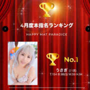 ヒメ日記 2025/05/02 14:45 投稿 うさぎ 横浜ハッピーマットパラダイス