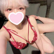 ヒメ日記 2025/06/03 12:33 投稿 うさぎ 横浜ハッピーマットパラダイス