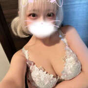 ヒメ日記 2025/07/01 13:53 投稿 うさぎ 横浜ハッピーマットパラダイス