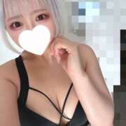 ヒメ日記 2025/07/03 12:43 投稿 うさぎ 横浜ハッピーマットパラダイス