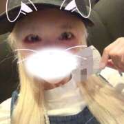 ヒメ日記 2025/07/25 16:43 投稿 うさぎ 横浜ハッピーマットパラダイス