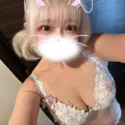 ヒメ日記 2025/08/17 21:03 投稿 うさぎ 横浜ハッピーマットパラダイス