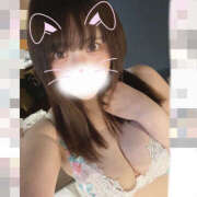 ヒメ日記 2025/10/08 10:33 投稿 うさぎ 横浜ハッピーマットパラダイス