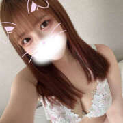 ヒメ日記 2025/11/13 12:43 投稿 うさぎ 横浜ハッピーマットパラダイス