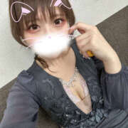 ヒメ日記 2025/11/15 15:43 投稿 うさぎ 横浜ハッピーマットパラダイス