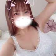 ヒメ日記 2025/11/21 15:43 投稿 うさぎ 横浜ハッピーマットパラダイス