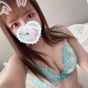 ヒメ日記 2026/01/13 16:53 投稿 うさぎ 横浜ハッピーマットパラダイス