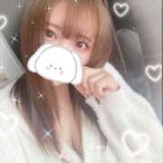 ヒメ日記 2026/01/30 17:00 投稿 うさぎ 横浜ハッピーマットパラダイス