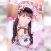 ヒメ日記 2026/02/02 15:05 投稿 うさぎ 横浜ハッピーマットパラダイス