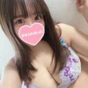 ヒメ日記 2026/02/05 16:33 投稿 うさぎ 横浜ハッピーマットパラダイス