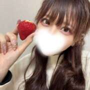 ヒメ日記 2026/02/07 12:33 投稿 うさぎ 横浜ハッピーマットパラダイス