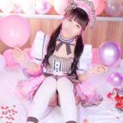 ヒメ日記 2026/02/17 12:33 投稿 うさぎ 横浜ハッピーマットパラダイス