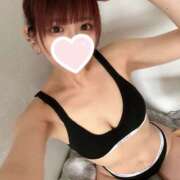 ヒメ日記 2026/02/17 16:43 投稿 うさぎ 横浜ハッピーマットパラダイス