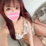 ヒメ日記 2026/02/18 12:33 投稿 うさぎ 横浜ハッピーマットパラダイス