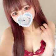 ヒメ日記 2026/02/23 12:33 投稿 うさぎ 横浜ハッピーマットパラダイス