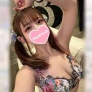 ヒメ日記 2026/03/15 19:33 投稿 うさぎ 横浜ハッピーマットパラダイス