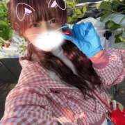 ヒメ日記 2026/03/17 15:33 投稿 うさぎ 横浜ハッピーマットパラダイス