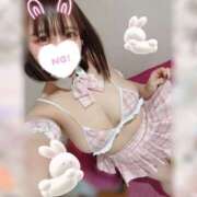 ヒメ日記 2026/03/21 19:43 投稿 うさぎ 横浜ハッピーマットパラダイス