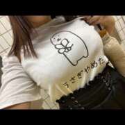 ヒメ日記 2026/03/29 16:53 投稿 うさぎ 横浜ハッピーマットパラダイス