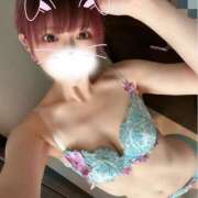 ヒメ日記 2026/05/16 16:43 投稿 うさぎ 横浜ハッピーマットパラダイス