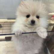 ヒメ日記 2025/02/19 22:40 投稿 野山ここみ HANABI(福富町)