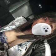 ヒメ日記 2025/03/07 17:41 投稿 野山ここみ HANABI(福富町)