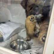 ヒメ日記 2025/03/17 07:55 投稿 野山ここみ HANABI(福富町)