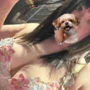 ヒメ日記 2025/04/13 19:42 投稿 野山ここみ HANABI(福富町)