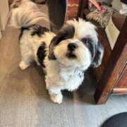 ヒメ日記 2025/04/26 22:13 投稿 野山ここみ HANABI(福富町)