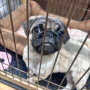 ヒメ日記 2025/05/07 19:12 投稿 野山ここみ HANABI(福富町)