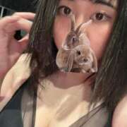 ヒメ日記 2025/08/22 17:58 投稿 野山ここみ HANABI(福富町)