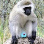 ヒメ日記 2025/11/03 14:39 投稿 野山ここみ HANABI(福富町)