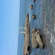 ヒメ日記 2025/08/30 16:31 投稿 さりな 大人の遊園地 熊谷店