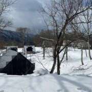 ヒメ日記 2025/03/31 20:31 投稿 金川やえ 川崎南町 素敵な奥様（川崎ハレ系）