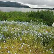 ヒメ日記 2025/06/15 07:35 投稿 金川やえ 川崎南町 素敵な奥様（川崎ハレ系）