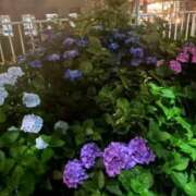 ヒメ日記 2025/06/18 08:36 投稿 金川やえ 川崎南町 素敵な奥様（川崎ハレ系）