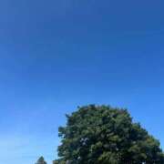 ヒメ日記 2025/06/26 08:53 投稿 金川やえ 川崎南町 素敵な奥様（川崎ハレ系）