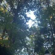 ヒメ日記 2025/08/01 08:45 投稿 金川やえ 川崎南町 素敵な奥様（川崎ハレ系）